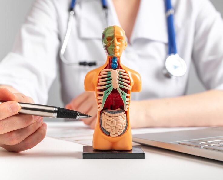 TheWell_internal-medicine_AS_499860795