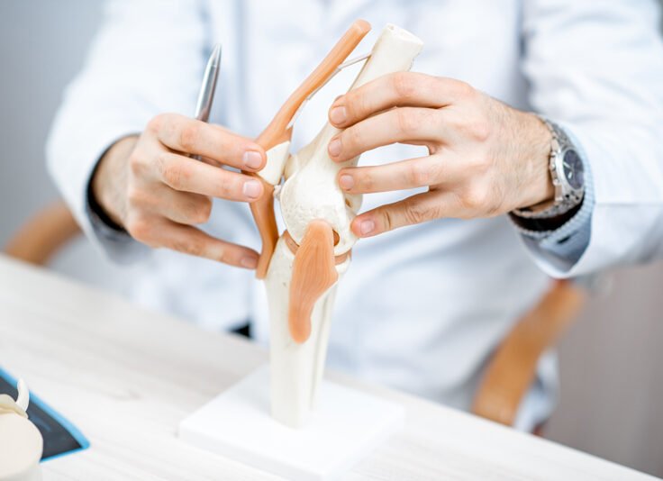 therapist-showing-knee-joint-model-2021-11-01-21-21-01-utc